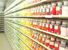 ファイル 45-1.jpg